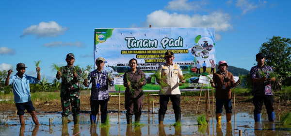 Tanah Laut Genjot Produksi Padi, Bupati Serahkan Alsintan ke Brigade Pangan
