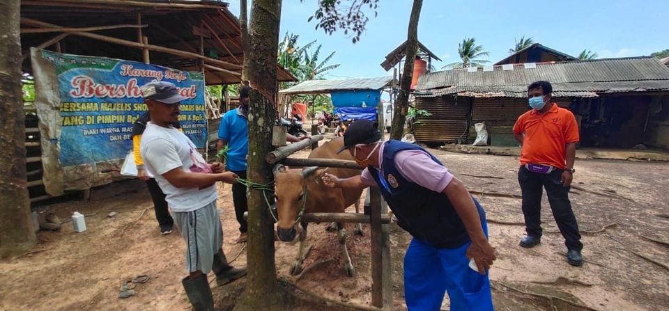 SANITASI KANDANG YANG BAIK MEMBUAT TERNAK TERBEBAS DARI PENYAKIT